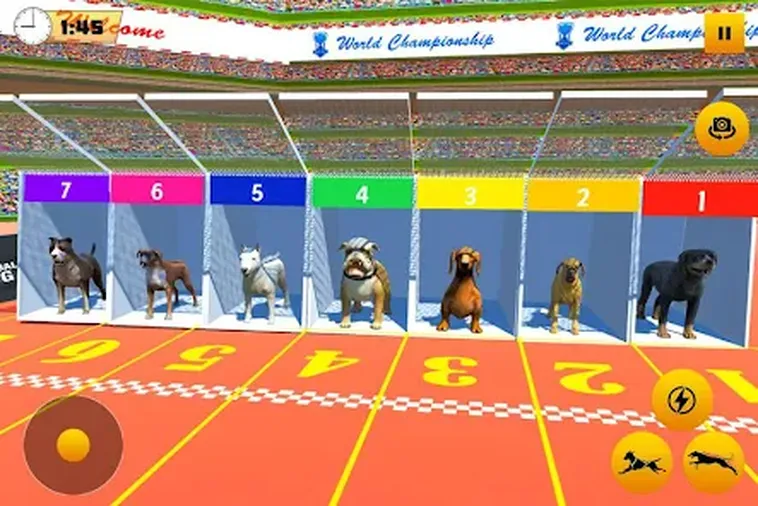 Cách Chơi Game Nhanh Đua Chó Tại MMLive Để Rinh Thưởng